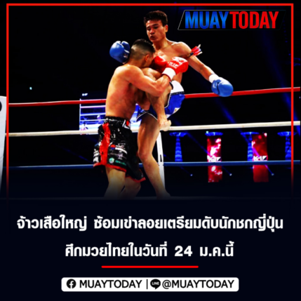 จ้าวเสือใหญ่ ซ้อมเข่าลอยเตรียมดับนักชกญี่ปุ่น ศึกมวยไทยในวันที่ 24 ม.ค.นี้